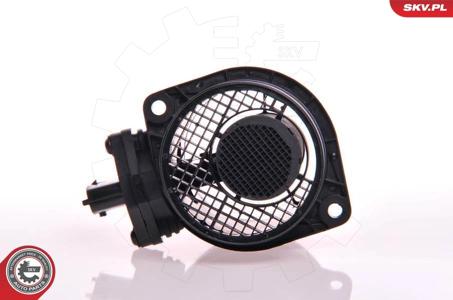 Mass Air Flow Sensor